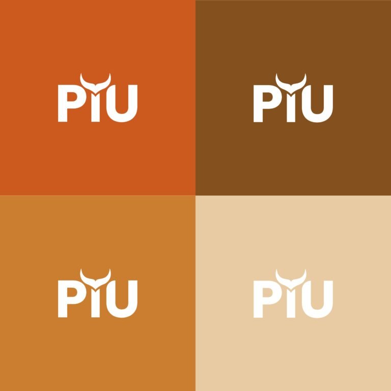 logo_4colori_Piu_page-0001