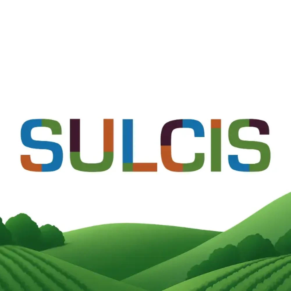 BrandIdentity_Sulcis